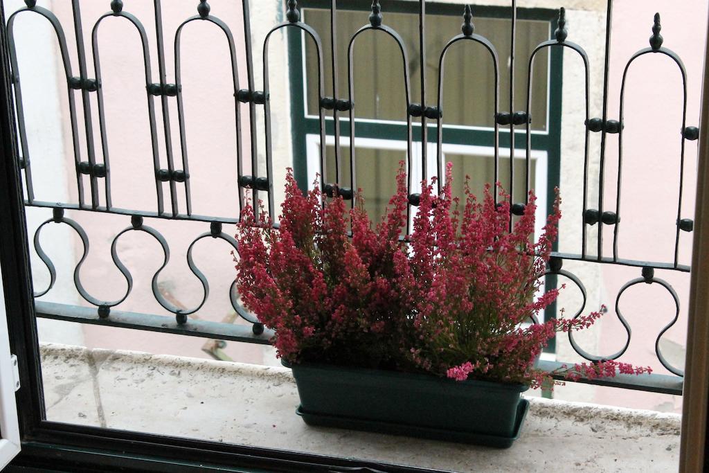 Apartamento Casa Do Oleiro *